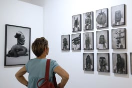 Fisheye gallery Arles