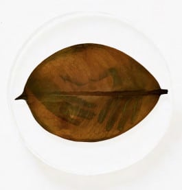 Almudena Romero, Ficus hands #30