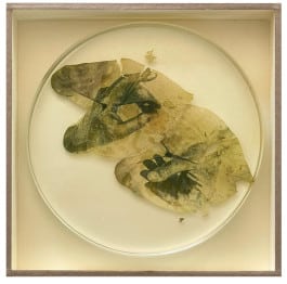 Almudena Romero, Taro circular hands-20x20