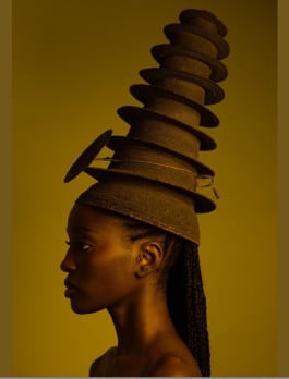 Delphine Diallo, Ekonda Botolo