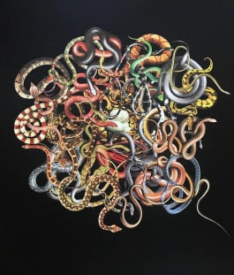 Delphine Diallo Rebirth