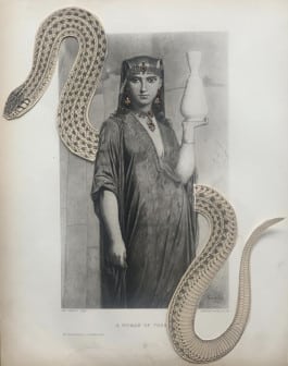 Delphine Diallo, Snake collage