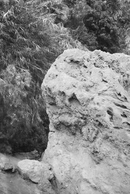 Ilanit Illouz Roche crayeuse II 