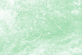 Léa Habourdin, images-forêts Q4162