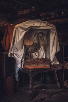 Les trésors d'Étienne - Les Enchanteurs